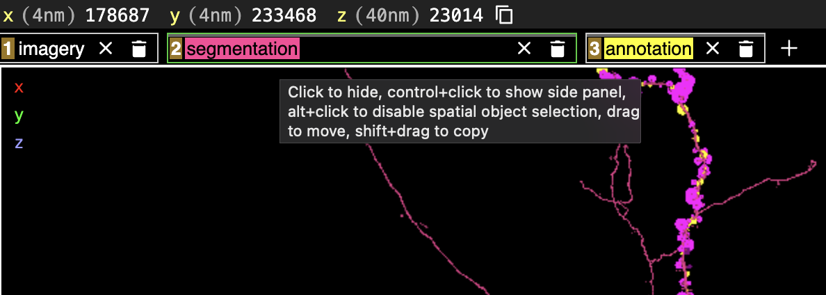 Neuroglancer segment properties view